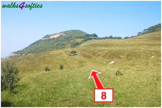 Walk direction photograph: 8 for walk St Gabriel's and Langdon Hill, Seatown, Dorset, South West England.