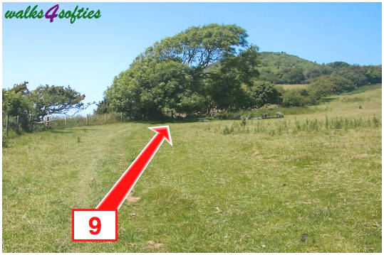 Walking direction photo: 9 for walk St Gabriel's and Langdon Hill, Seatown, Dorset, Jurassic Coast.