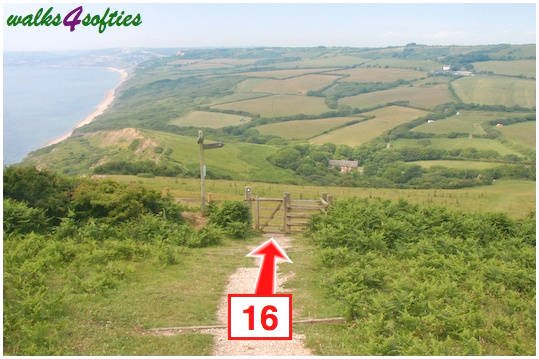 Walk direction photograph: 16 for walk St Gabriel's and Langdon Hill, Seatown, Dorset, South West England.