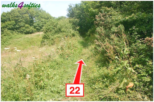 Walk direction photograph: 22 for walk St Gabriel's and Langdon Hill, Seatown, Dorset, South West England.