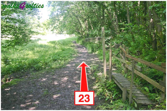 Walking direction photo: 23 for walk St Gabriel's and Langdon Hill, Seatown, Dorset, Jurassic Coast.