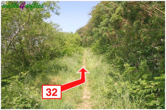 Walk direction photograph: 32 for walk St Gabriel's and Langdon Hill, Seatown, Dorset, South West England.