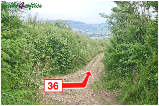 Walk direction photograph: 36 for walk St Gabriel's and Langdon Hill, Seatown, Dorset, South West England.