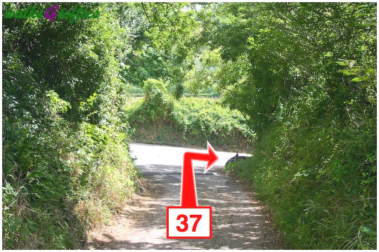 Walking direction photo: 37 for walk St Gabriel's and Langdon Hill, Seatown, Dorset, Jurassic Coast.