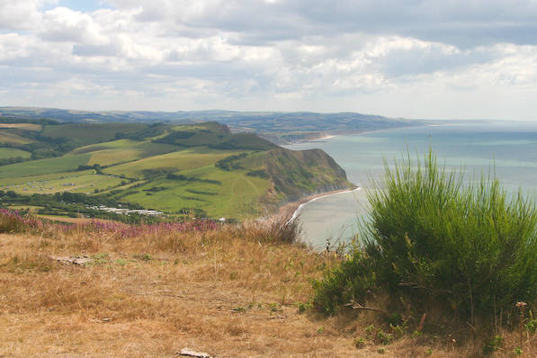 Picture, Photo, View of Seatown, Dorset