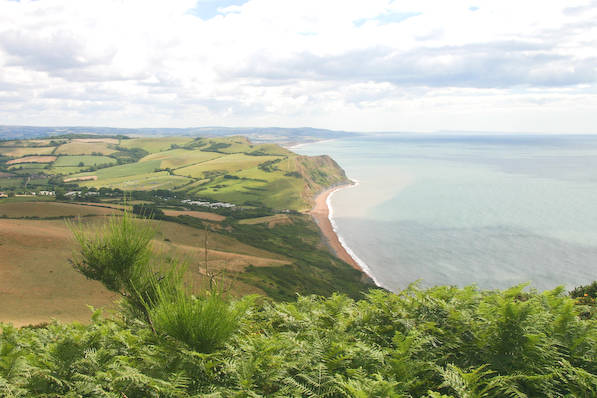 Picture, Photo, View of Seatown, Dorset