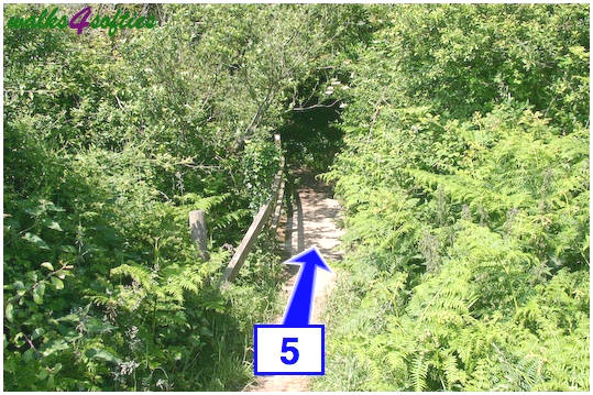 Walking direction photo: 5 for walk Golden Cap, Seatown, Dorset, Jurassic Coast.