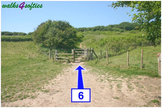 Walk direction photograph: 6 for walk Golden Cap, Seatown, Dorset, South West England.