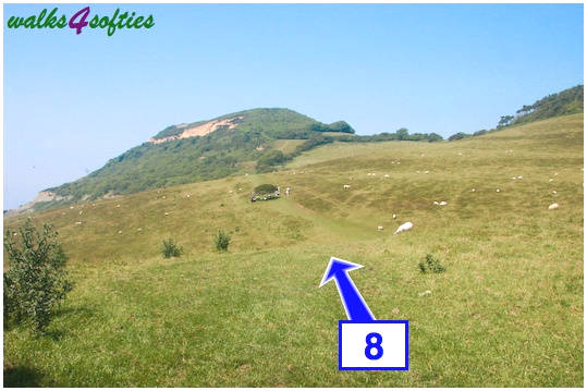Walk direction photograph: 8 for walk Golden Cap, Seatown, Dorset, South West England.