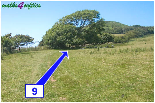 Walking direction photo: 9 for walk Golden Cap, Seatown, Dorset, Jurassic Coast.