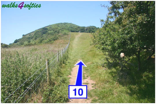 Walk direction photograph: 10 for walk Golden Cap, Seatown, Dorset, South West England.