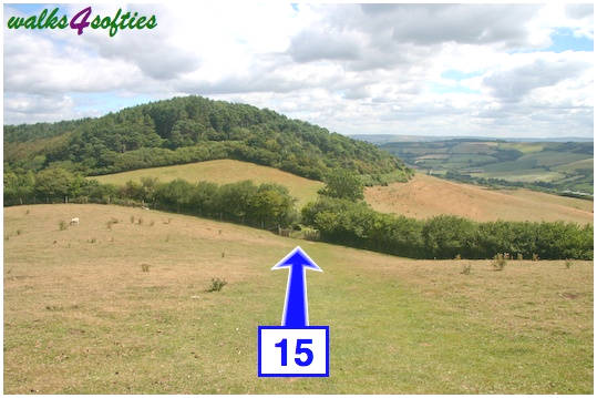 Walking direction photo: 15 for walk Golden Cap, Seatown, Dorset, Jurassic Coast.