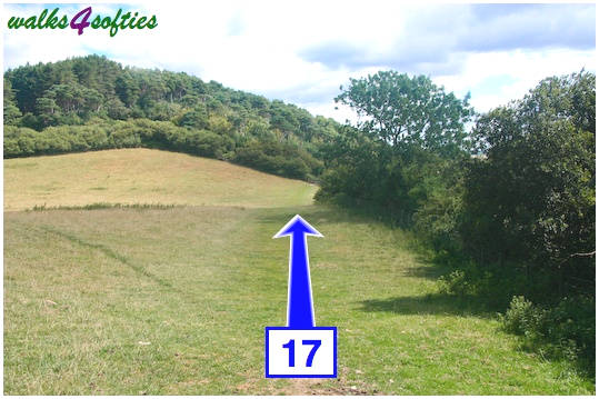 Walking direction photo: 17 for walk Golden Cap, Seatown, Dorset, Jurassic Coast.