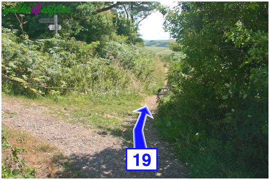 Walking direction photo: 19 for walk Golden Cap, Seatown, Dorset, Jurassic Coast.