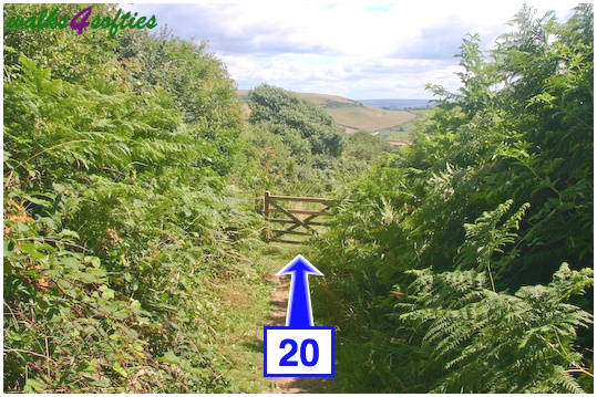 Walk direction photograph: 20 for walk Golden Cap, Seatown, Dorset, South West England.