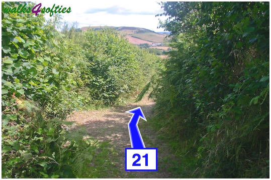Walking direction photo: 21 for walk Golden Cap, Seatown, Dorset, Jurassic Coast.