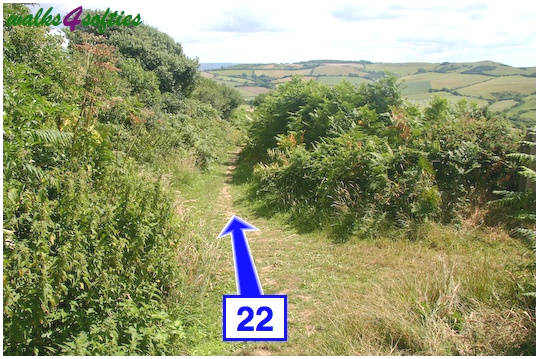 Walk direction photograph: 22 for walk Golden Cap, Seatown, Dorset, South West England.