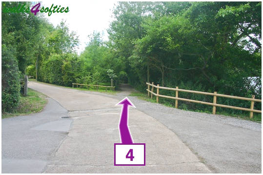 Walk direction photograph: 4 for walk Doghouse Hill, Seatown, Dorset, South West England.