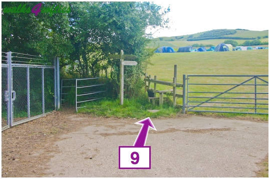 Walking direction photo: 9 for walk Doghouse Hill, Seatown, Dorset, Jurassic Coast.