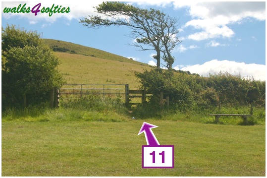 Walking direction photo: 11 for walk Doghouse Hill, Seatown, Dorset, Jurassic Coast.