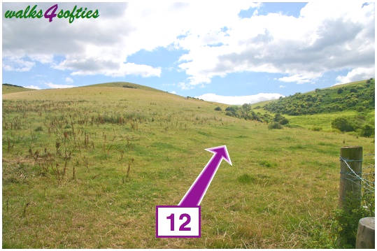 Walk direction photograph: 12 for walk Doghouse Hill, Seatown, Dorset, South West England.