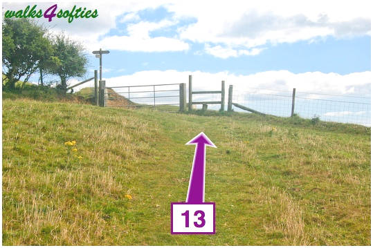 Walking direction photo: 13 for walk Doghouse Hill, Seatown, Dorset, Jurassic Coast.