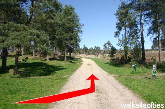 Walking direction photo: 1 for walk Around Gore Heath, Lawson Clump, Dorset.