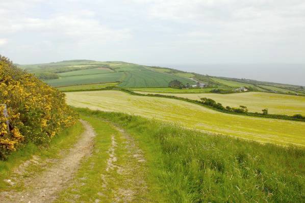Picture, Photo, View of West Bexington, Dorset