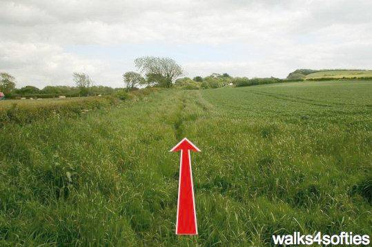 Walk direction photograph: 12 for walk Swyre and Puncknowle, West Bexington, Dorset, South West England.