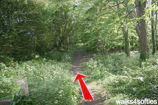 Walking direction photo: 19 for walk Swyre and Puncknowle, West Bexington, Dorset, Jurassic Coast.