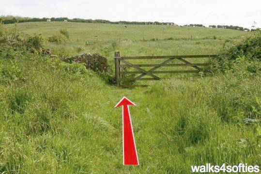 Walk direction photograph: 22 for walk Swyre and Puncknowle, West Bexington, Dorset, South West England.