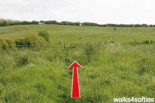 Walking direction photo: 23 for walk Swyre and Puncknowle, West Bexington, Dorset, Jurassic Coast.