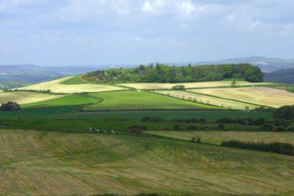 Picture, Photo, View of West Bexington, Dorset