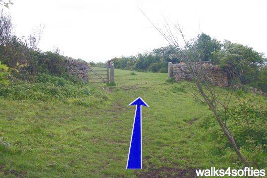 Walk direction photograph: 10 for walk Limekiln Hill, West Bexington, Dorset, South West England.