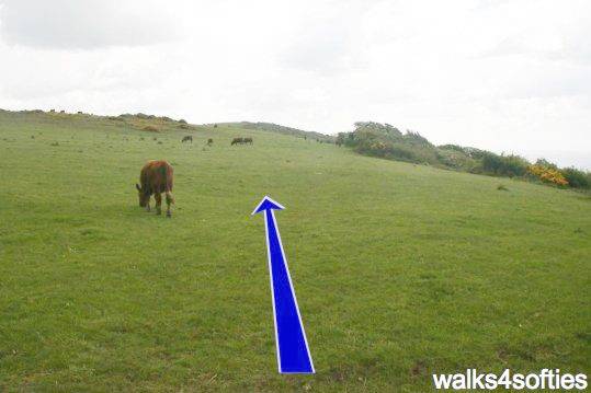 Walking direction photo: 11 for walk Limekiln Hill, West Bexington, Dorset, Jurassic Coast.