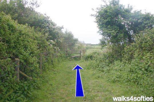 Walk direction photograph: 16 for walk Limekiln Hill, West Bexington, Dorset, South West England.