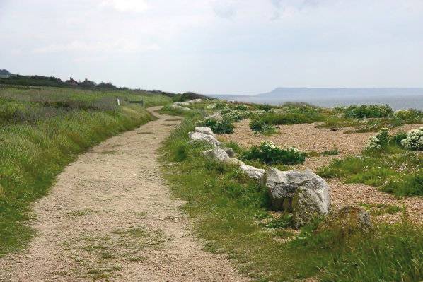 Picture, Photo, View of West Bexington, Dorset