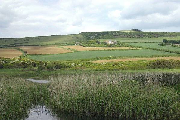 Picture, Photo, View of West Bexington, Dorset
