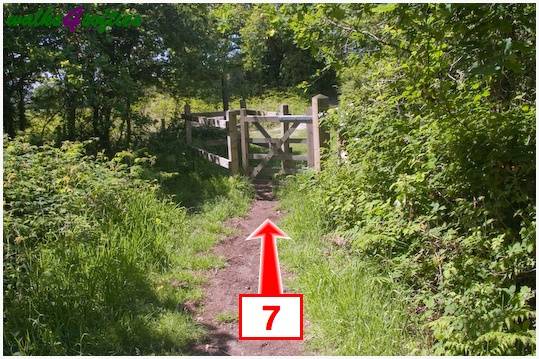 Walking direction photo: 7 for walk Stinford Church, Hardy's Cottage, Dorset.