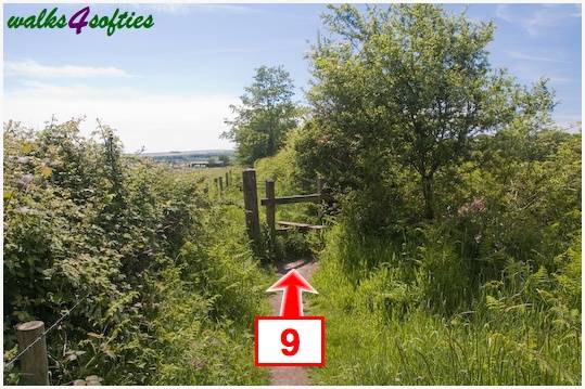 Walking direction photo: 9 for walk Stinford Church, Hardy's Cottage, Dorset.