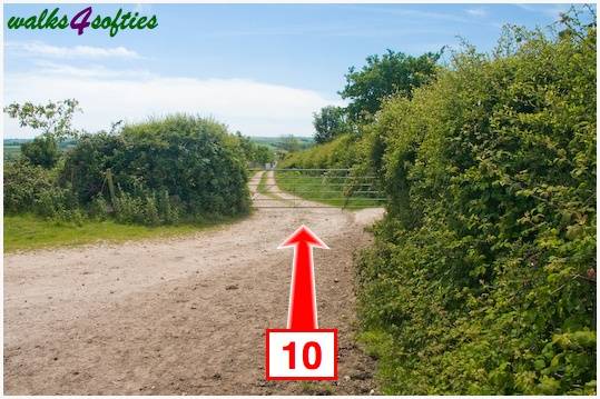 Walk direction photograph: 10 for walk Stinford Church, Hardy's Cottage, Dorset, South West England.