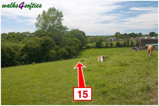 Walking direction photo: 15 for walk Stinford Church, Hardy's Cottage, Dorset.