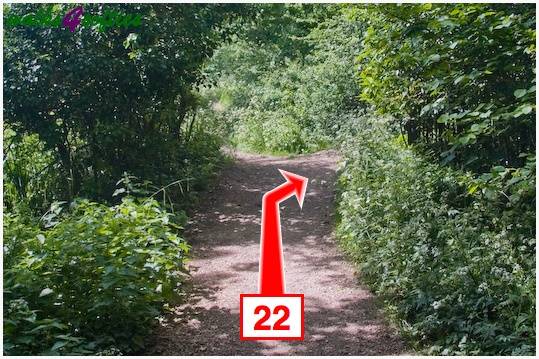 Walk direction photograph: 22 for walk Stinford Church, Hardy's Cottage, Dorset, South West England.