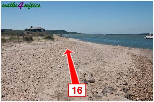 Walk direction photograph: 16 for walk Mudeford Sandbank, Hengistbury Head, Dorset, South West England.