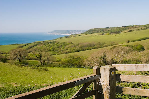 Picture, Photo, View of Stonebarrow Hill, Dorset