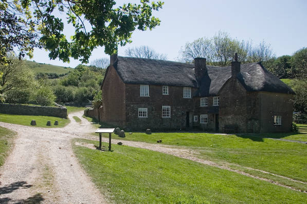 Picture, Photo, View of Stonebarrow Hill, Dorset