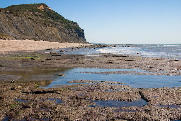 Picture, Photo, View of Stonebarrow Hill, Dorset