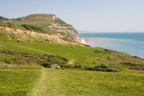 Picture, Photo, View of Stonebarrow Hill, Dorset