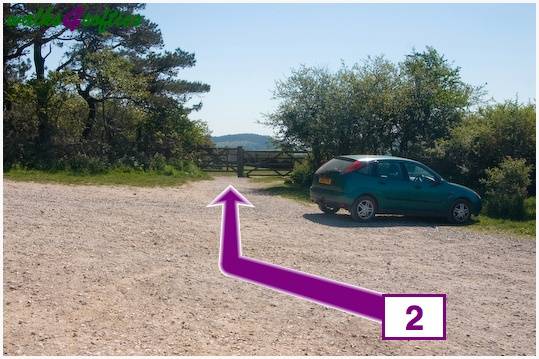 Walk direction photograph: 2 for walk St Gabriel's and Cain's Folly, Stonebarrow Hill, Dorset, South West England.