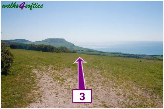 Walking direction photo: 3 for walk St Gabriel's and Cain's Folly, Stonebarrow Hill, Dorset, Jurassic Coast.